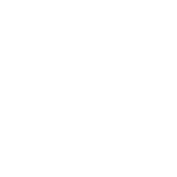 About 1 team development